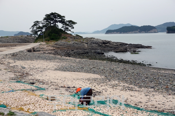 섬을 섬으로 이어주는 신비의 섬, 여수 ‘사도’