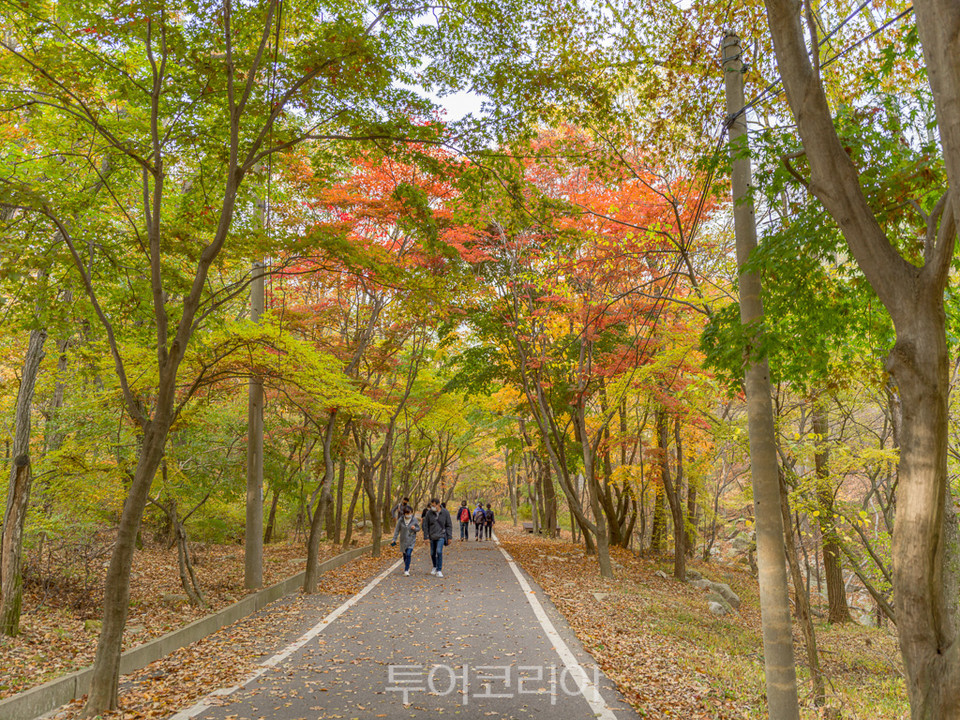 단풍 절정기, 피톤치드 만끽하며 ‘강화 마니산 치유의 숲’에서 힐링!