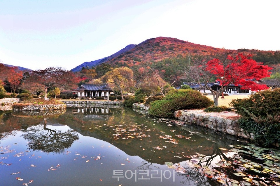 비움과 채움이 있는 ‘가을 정원’ 속으로!②..‘진도 운림산방’