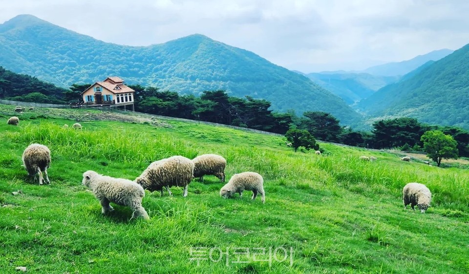 (주)세종국제여행사 이미지