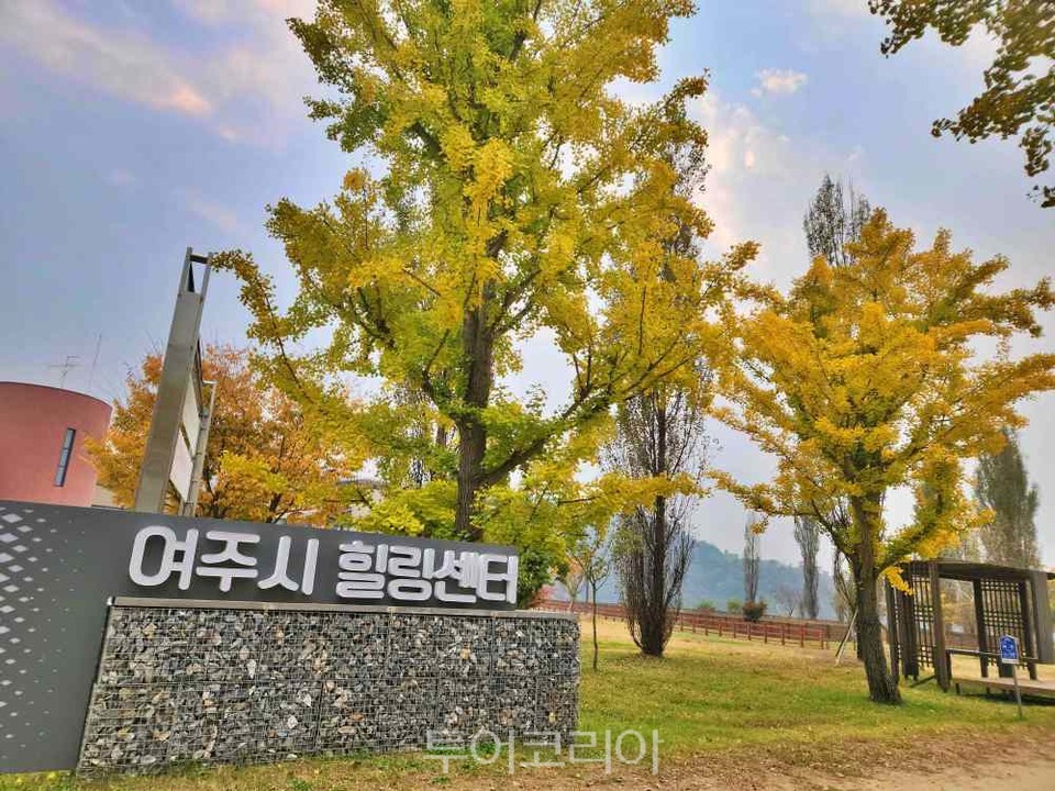 가을 ‘여주 강천섬’에서 어느 멋진 날!