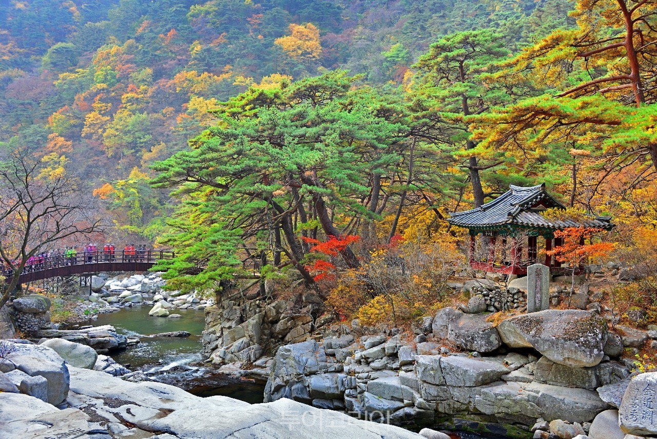 가을 합천여행 어때?...광역시티투어 ‘합천누비GO’ 재개