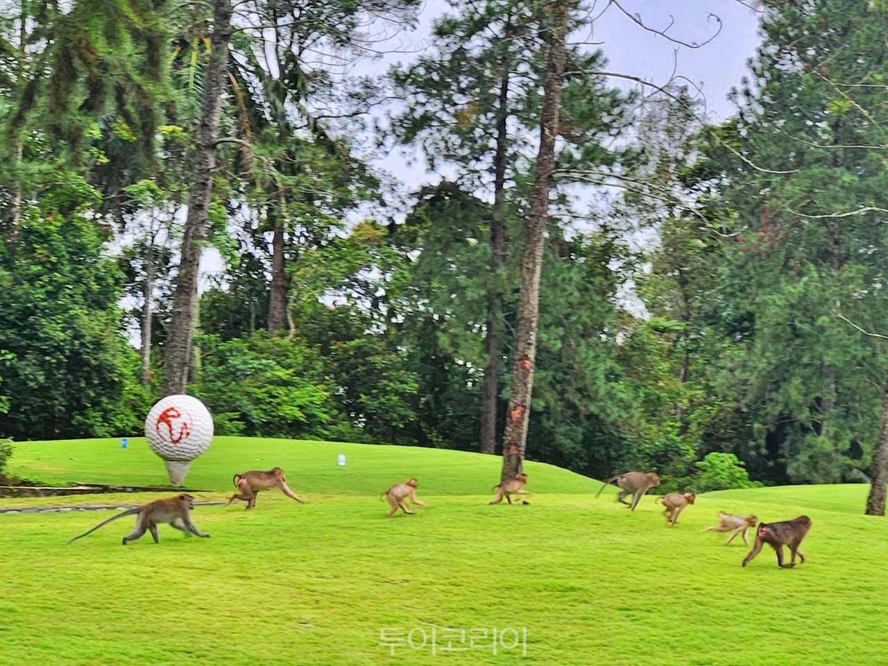 리조트 월드 아와나(Resorts World Awana)