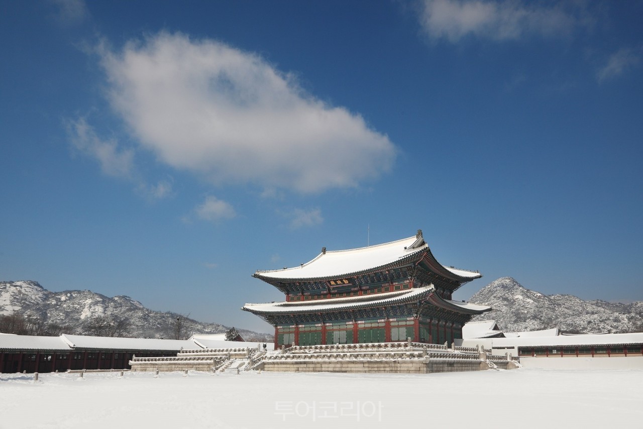 주식회사 더푸른환경 이미지