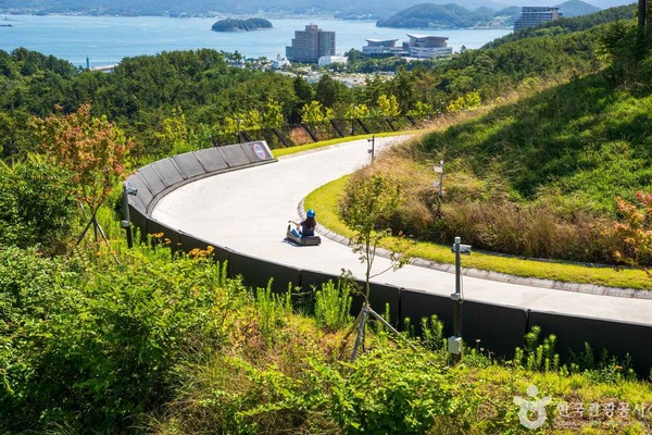 통영루지, 다양한 코스와 스릴 넘치는 경험은? - 뉴스 썸네일 이미지