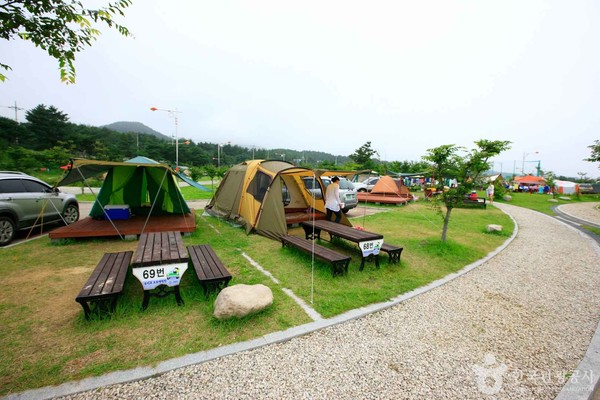 세종월드산업지점 이미지