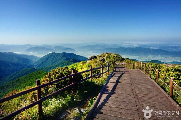 (주)한반도여행사 이미지