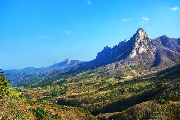 사관과여행주 이미지