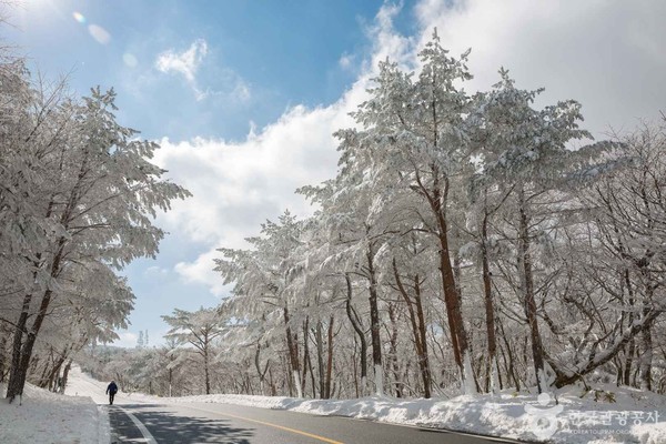 (주)본비코리아 이미지