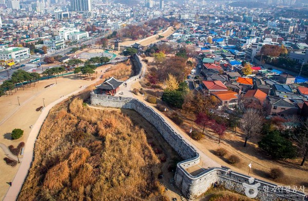YES!항공여행사 이미지