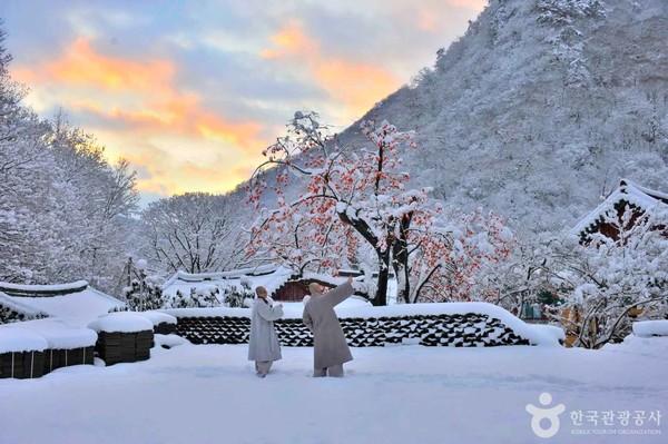 (주)제주로국제여행사 이미지