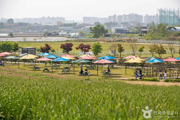 (주)서강에프씨 이미지