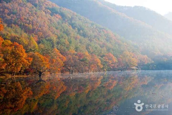 휴태국전통힐링 이미지