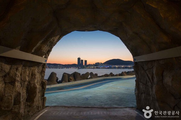 디자인숲미디어 이미지