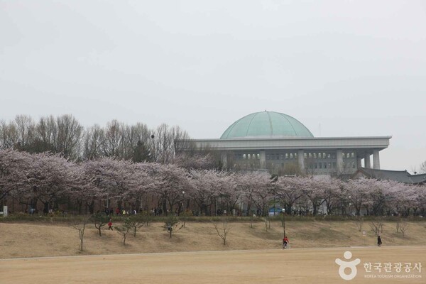 안동정스포츠 이미지
