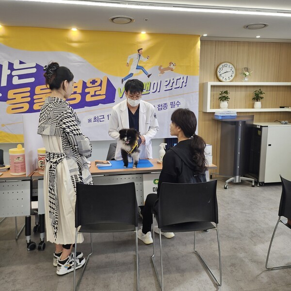 강남C&D 이미지
