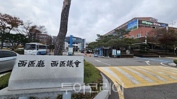 (주)제주드림여행사 이미지