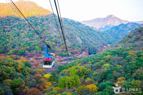 (주)자연의모든것 이미지