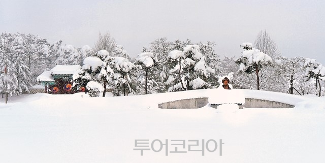 경포J펜션 이미지