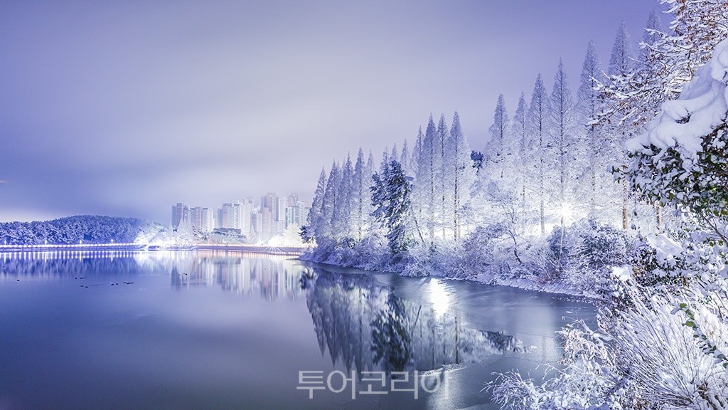 태건워크주 이미지