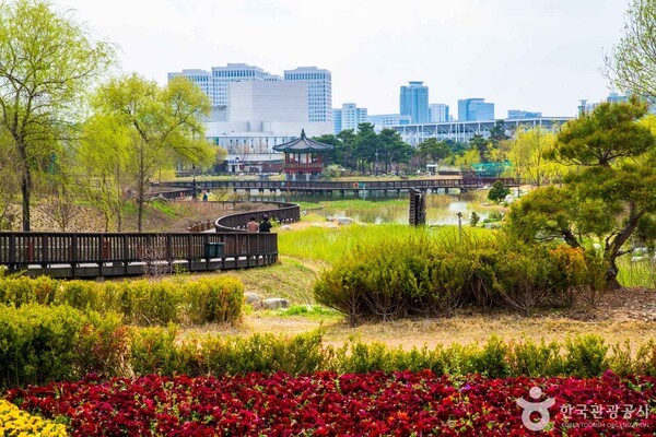 대전의 숨은 보석 같은 여행지, 이곳을 주목하라