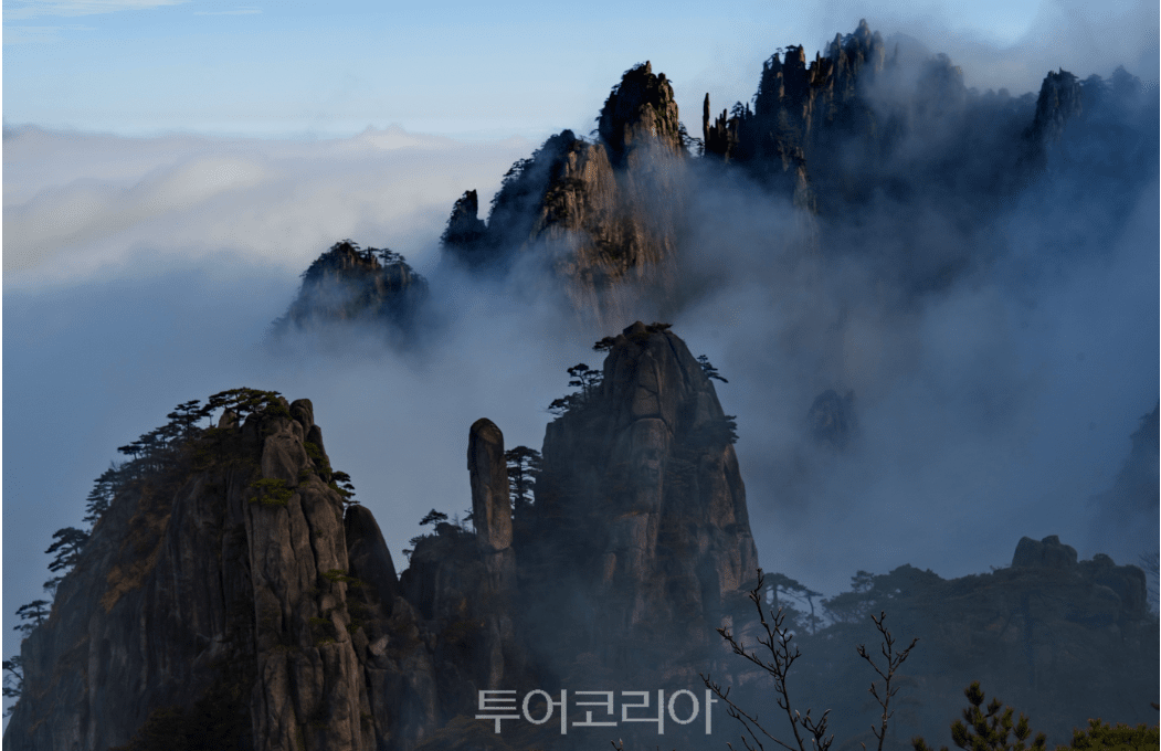 중국 무비자 후 증가추세인 '중국여행'...상하이로 갈까, 황산으로 갈까!
