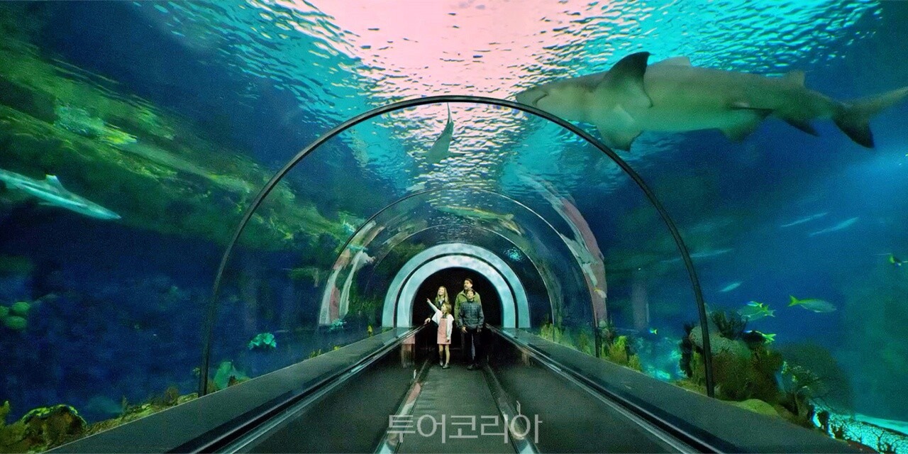 뮤직페인트미디어 이미지