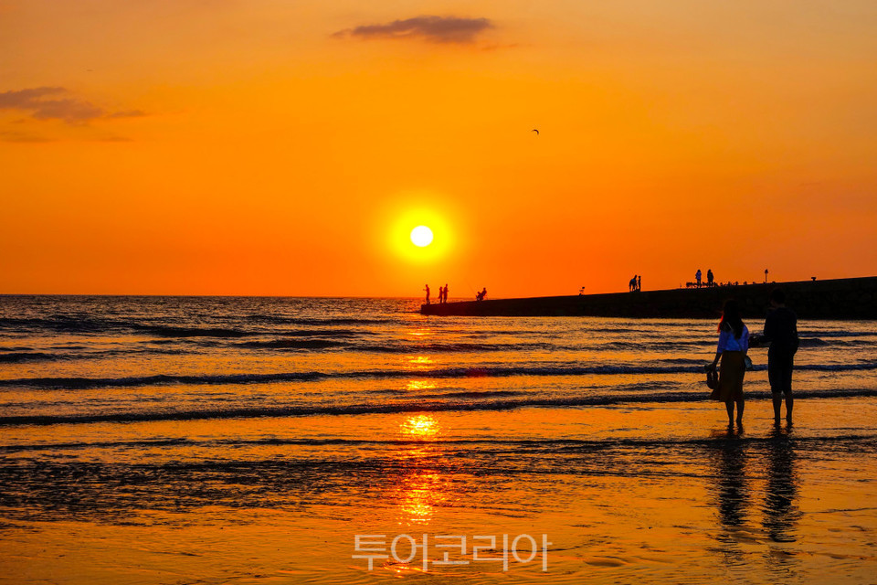 부산교통기사식당 이미지