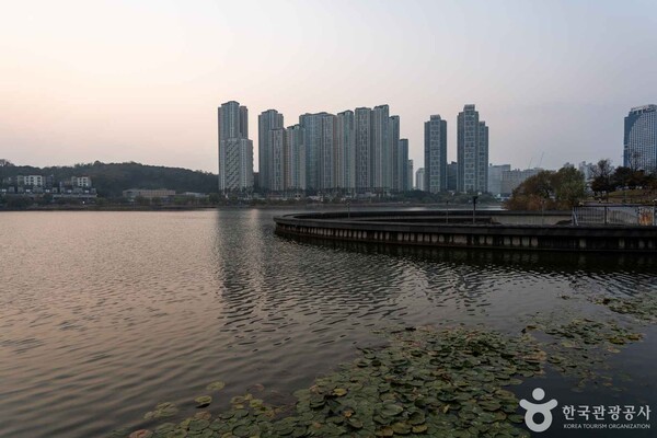 용성국제여행사 이미지