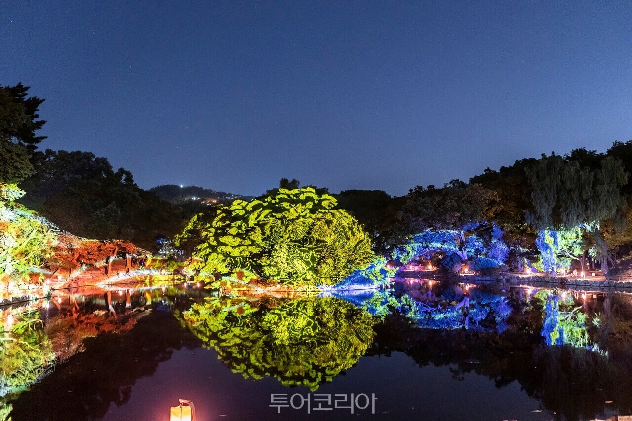 미래로투어주 이미지