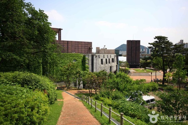 비둘기여행사 이미지
