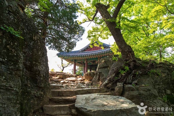 (주)본비코리아 이미지