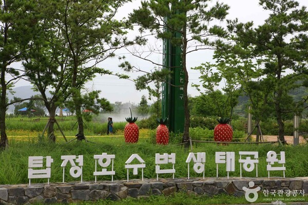 (주)본비코리아 이미지