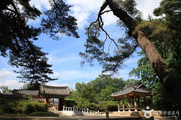 영주 가볼만한 곳, 전통문화와 고즈넉한 풍경 속 여행