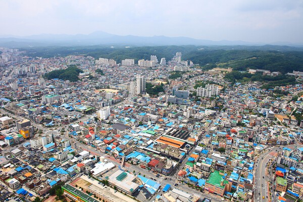 양구결혼정보 이미지
