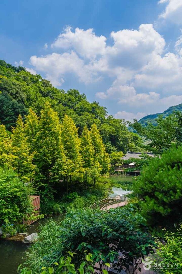 화담산업 이미지