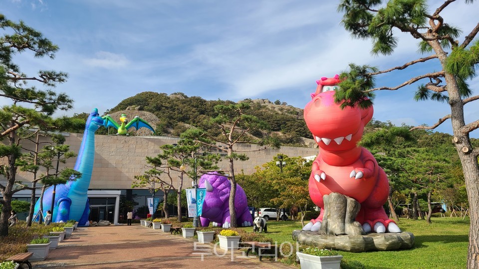 태건워크주 이미지