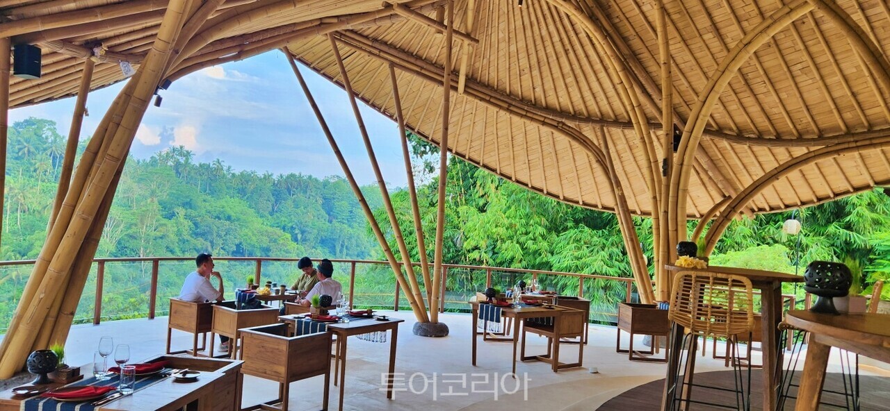 아코하라 식당은 버섯같은 대나무 지붕과 뻥뚫린 구조로 돼 있어 푸른숲을 눈에 담으며 식사를 즐길 수 있다. 