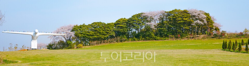 (주)횡성테마랜드 이미지
