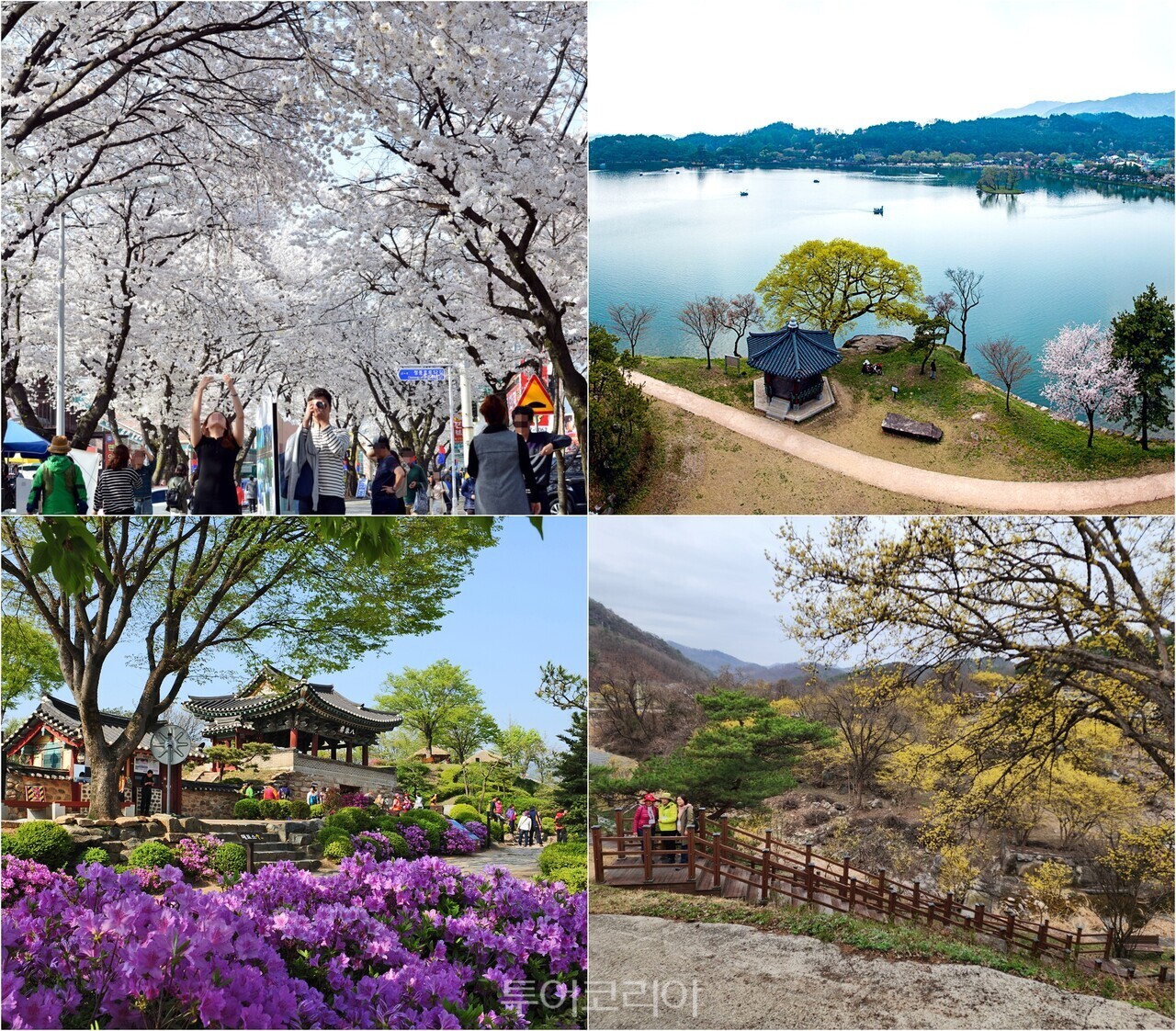 제천관광주 이미지