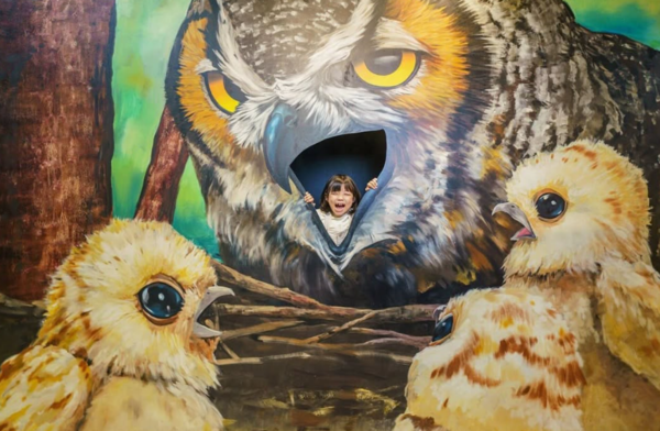 속초에서 아이와 가볼만한곳! 체험형 추천 명소는? - 뉴스 썸네일 이미지