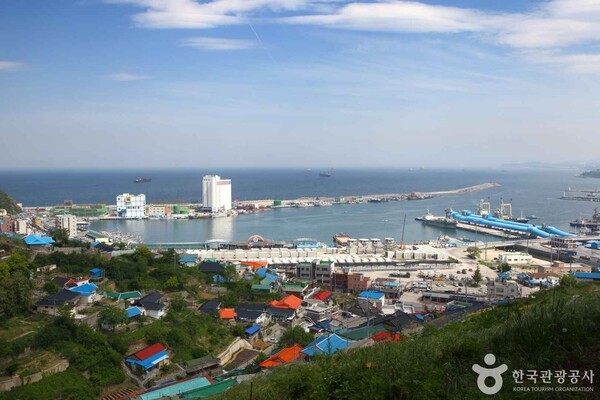 동해푸른광고 이미지
