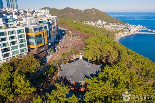 해운대블루라인(주) 이미지