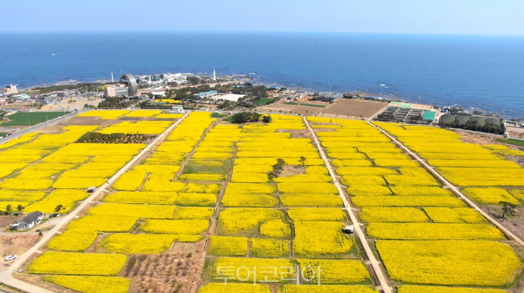 (주)고려미디어쇼핑 이미지