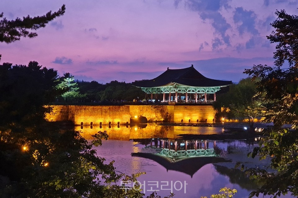 동양항공여행사 이미지