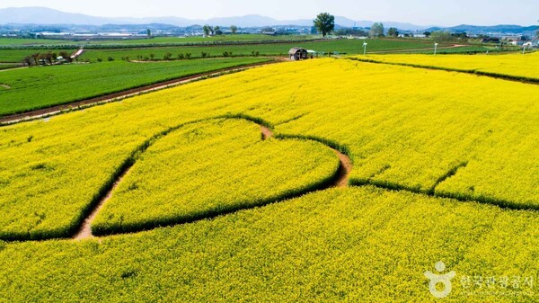 (주) 성지유통 이미지