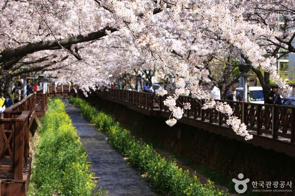 (주)본비코리아 이미지