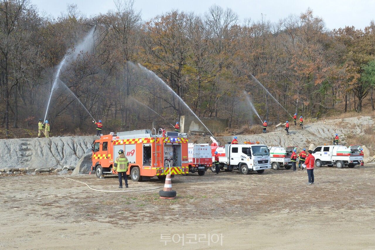 대원항공여행사 이미지