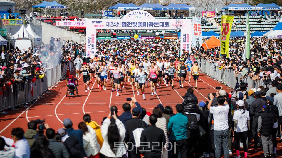 88관광여행사 이미지