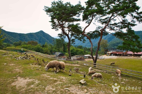 육림산업 이미지